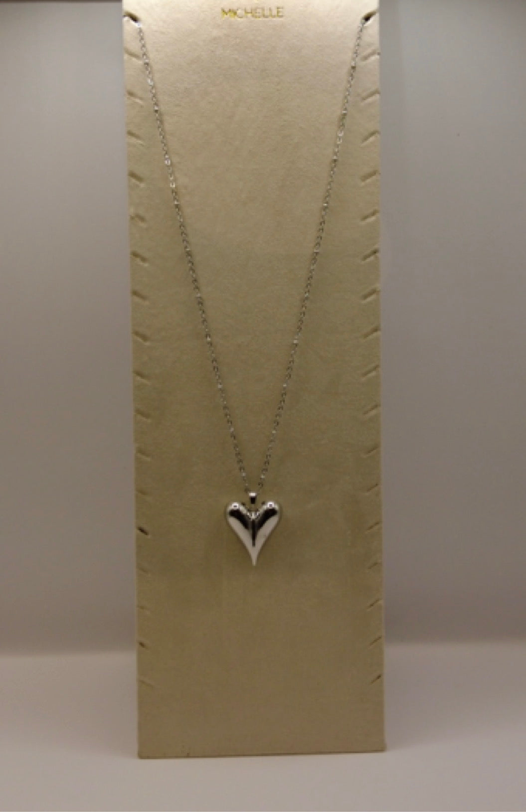 Stainless Steel Ketting – Zilverkleurig met Glanzende Hart Hanger