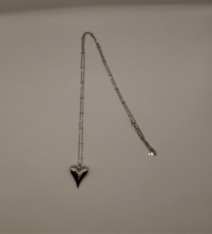 Stainless Steel Ketting – Zilverkleurig met Glanzende Hart Hanger