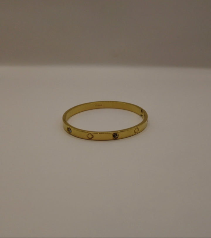 Stainless Steel Bangle Goud – Met Kristal & Klaver Gravure