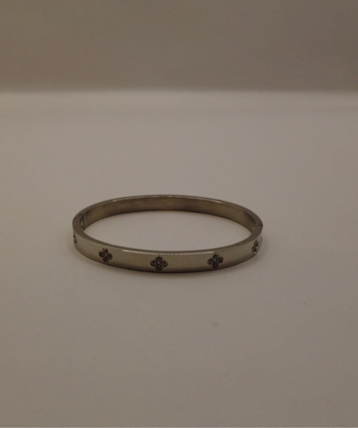 Stainless Steel Armband – Zilverkleurig Bangle